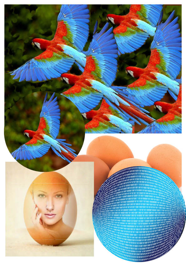 Klonování a vymaskování